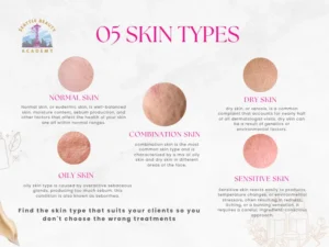 Chart showing the 5 esthetician skin types: normal, oily, dry, combination, sensitive