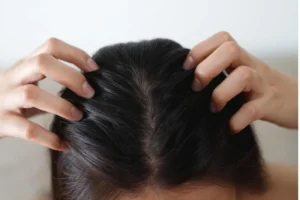 learning hair growth cycle in hair design program